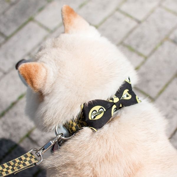 Photo4: MOON Puppy Ribbon (4)