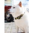 Photo3: MOON Puppy Ribbon (3)