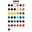Photo3: 【30%OFF】Carmine 0106 - Ronan One Stroke Paints 237ml(1/2 Pint/8 fl oz) (3)