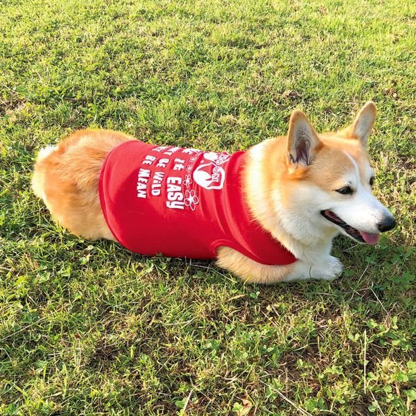 Photo8: Take it Easy Doggie T-shirt (8)