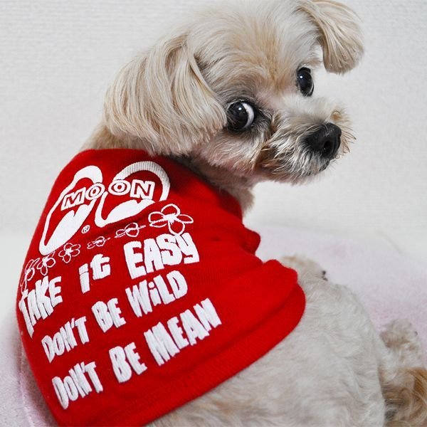 Photo2: Take it Easy Doggie T-shirt (2)