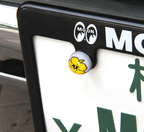 Photo: More License Plate Bolts...