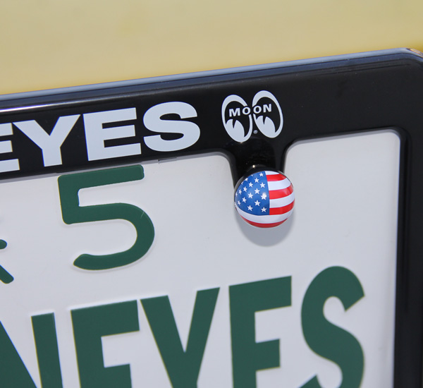 Photo: More License Plate Bolts...