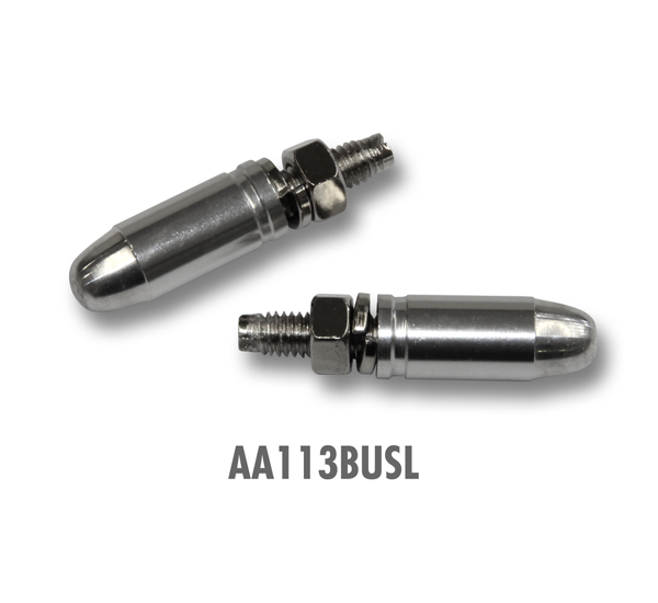 Photo: Bullet License Bolt