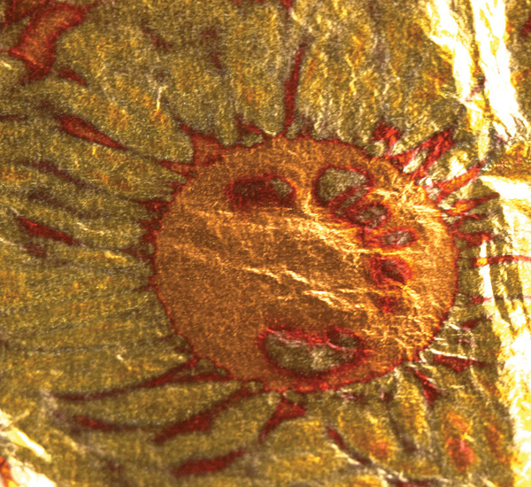 Photo1: Variegated Gold Leaf  (RED) (1)