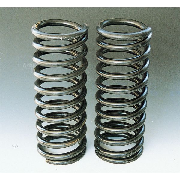 Photo1: Lowered Coil Sunny Truck Front (1)