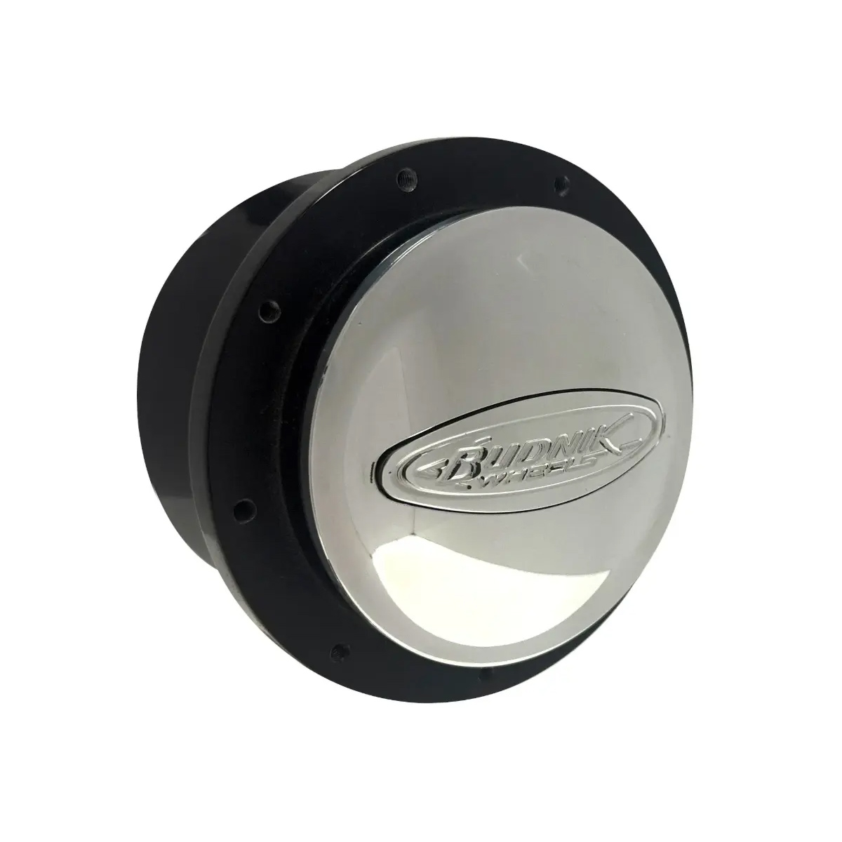 Photo1: Budnik Horn Button (1)