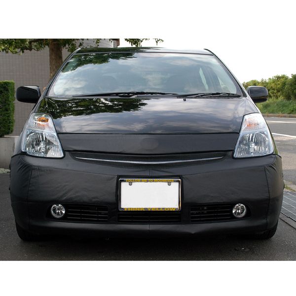 Photo1: Full Face Bra for PRIUS (1)